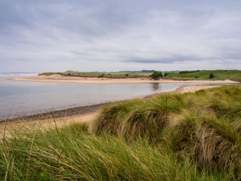 Alnmouth Beach