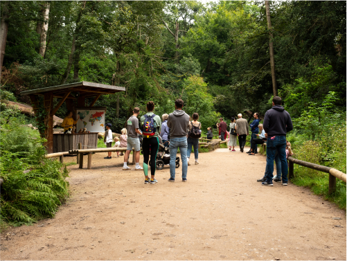 People in a dense forest surrounded by trees. There is a wooden hut with an person inside it explaining a map.