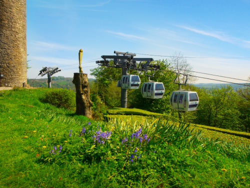 Three cable cars going up a hill surrounded by greenery