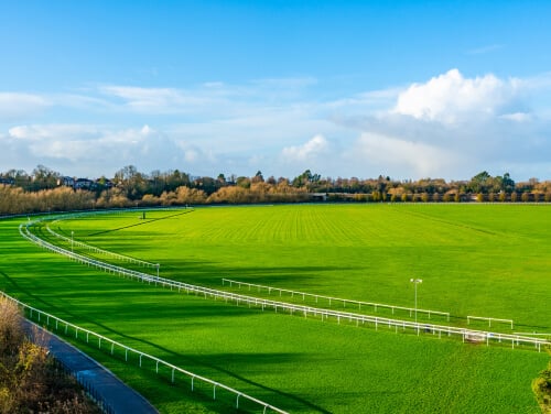 An empty racetrack on the grass at Chester Racecourse on a sunny day