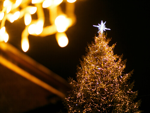 A tall Christmas tree with a star on top, the tree is covered in fairy lights.