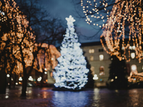 A christmas tree that is fully lit up with fairy lights surrounded by other trees that are covered in lights too.