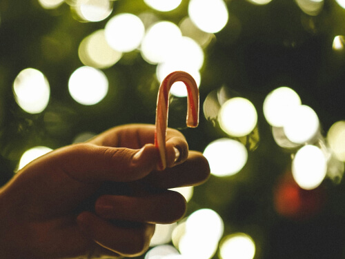 A person holding a candy cane between their thumb and forefinger in front of a christmas tree.