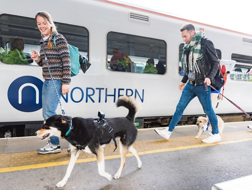 A man and woman walking two dogs on leads on a train platform next to a Northern train