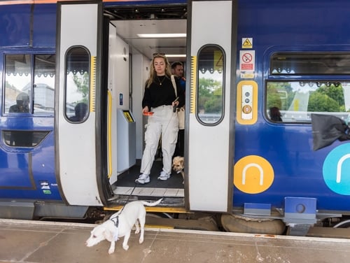 A blonde woman getting off a Northern train with a dog on a lead