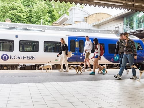 Adults walking their dogs on leads on a train platform beside a Northern train