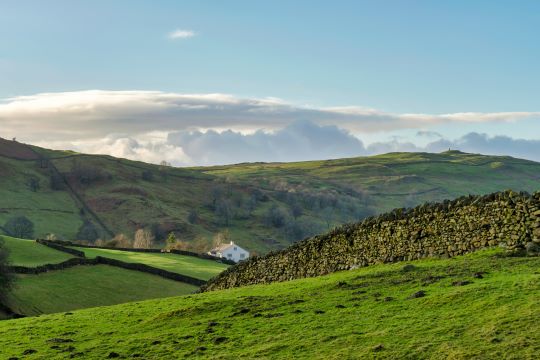 Green countryside