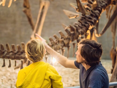A father and son looking at a dinosaur skeleton at a museum