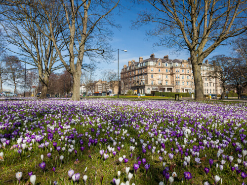 Harrogate, North England