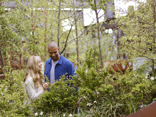A man and a woman laughing together in a garden beside a tall green bush