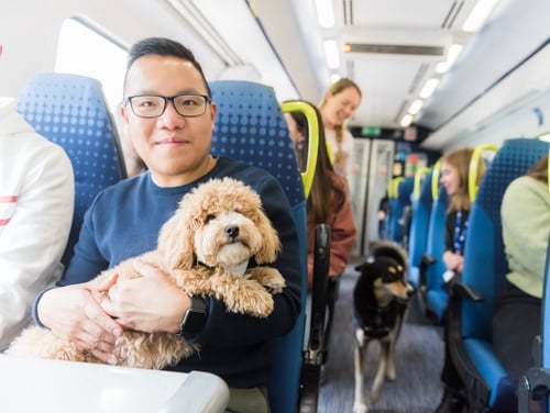 Small fluffy blonde dog held in the arms of a man wearing glasses on a Northern train