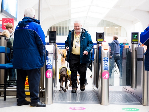 Elderly man with grey hair walking his brown dog through ticket barriers at a train station