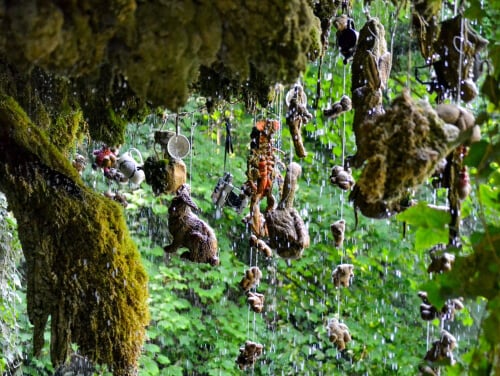 Items hanging from a tree in the rain at Mother Shipton's Cave