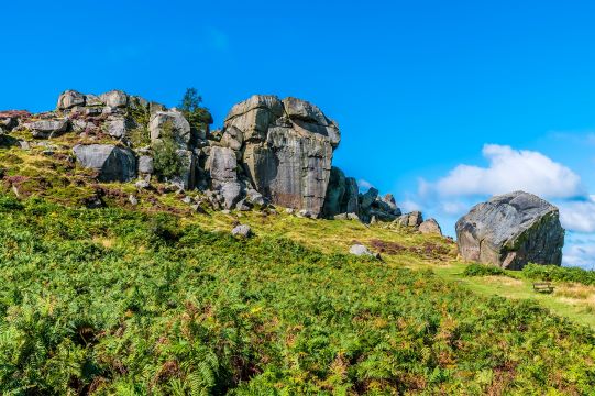 Rocks in countryside