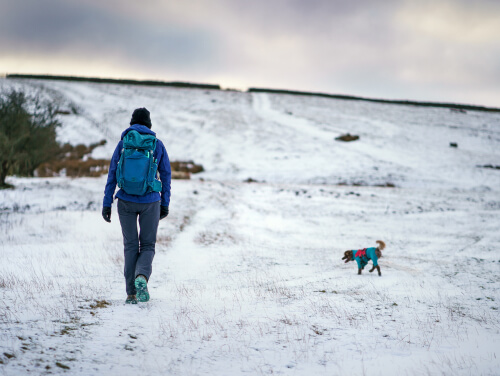 Winter walking with your dog