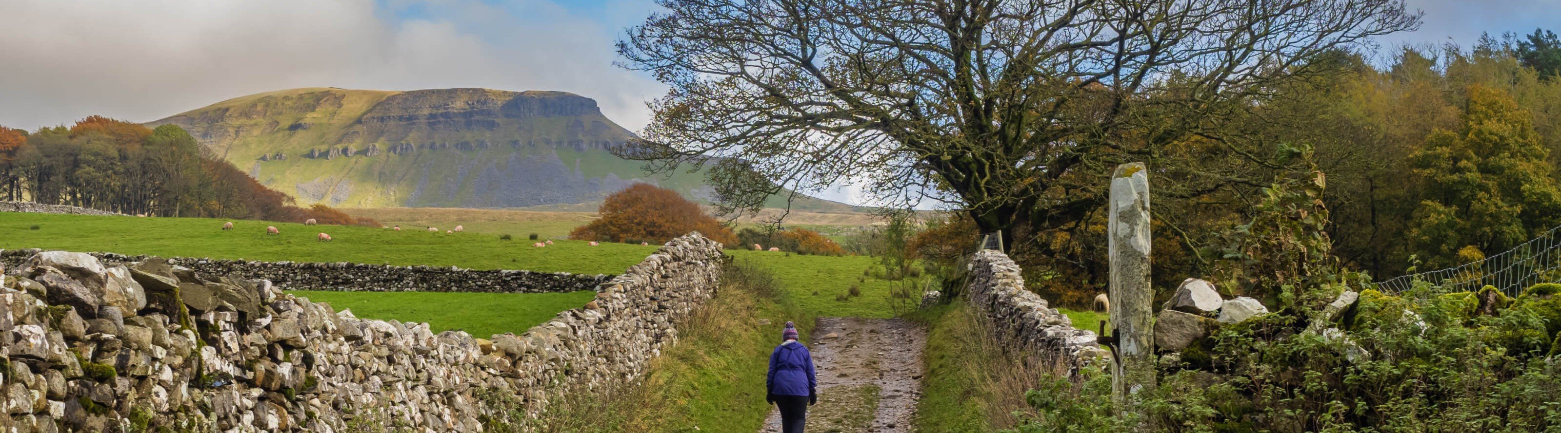 A person walking along a country path with a stone wall next them and fields beyond it. in the distance a hill can be seen.