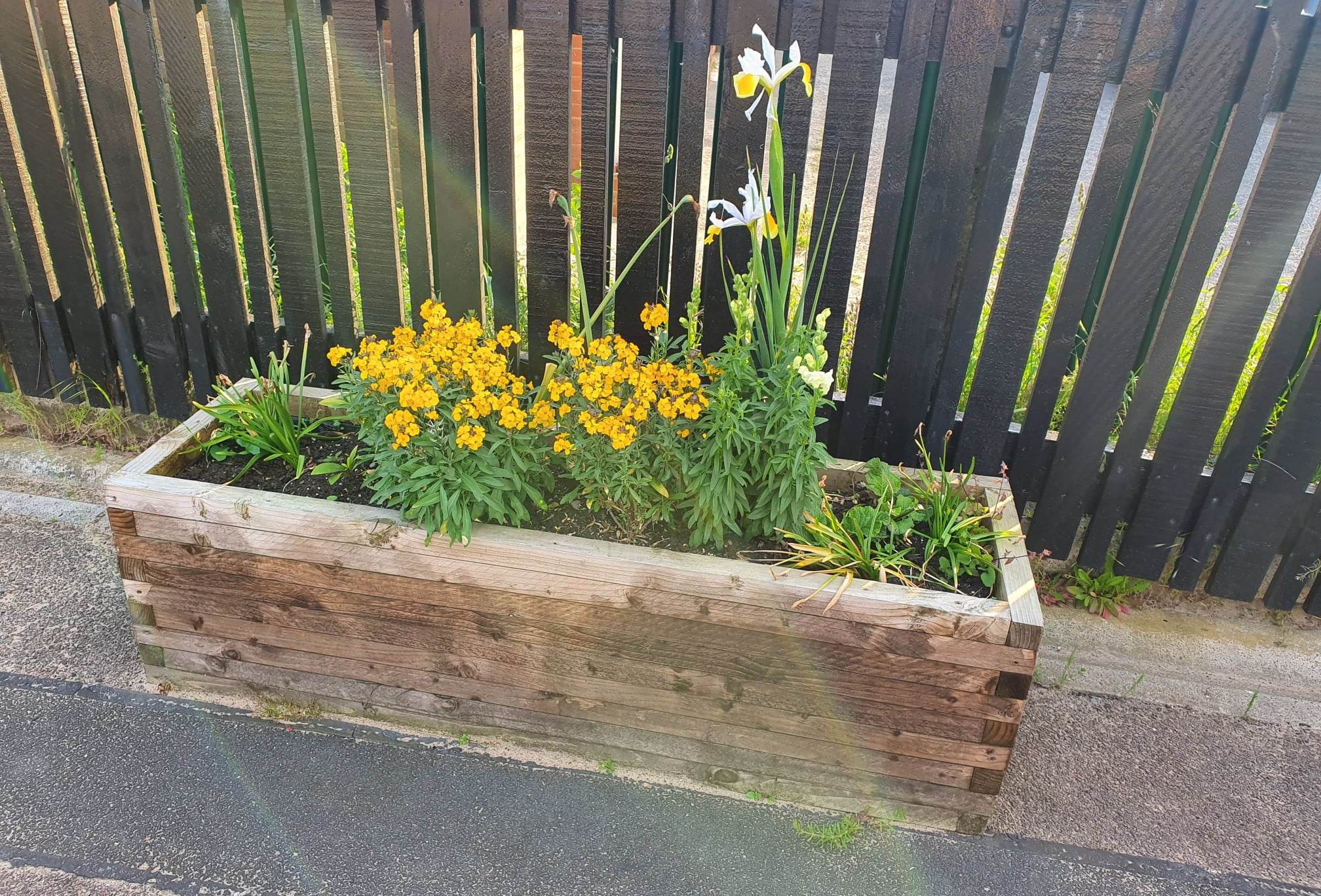 image-shows-flower-beds-at-squires-gate-station