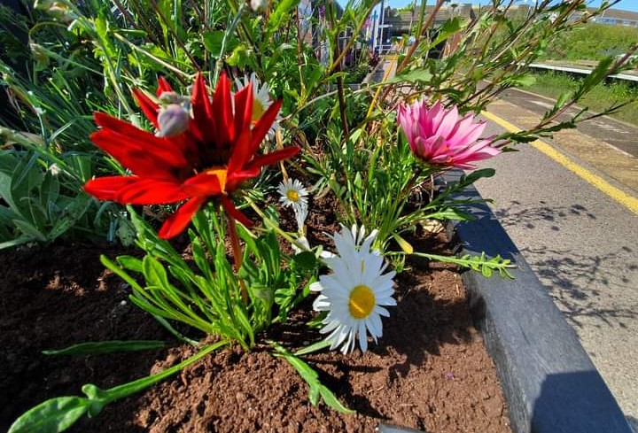 image-shows-flowers-at-squires-gate-station