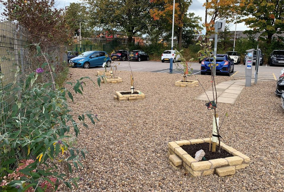 image-shows-plantings-at-leyland-station