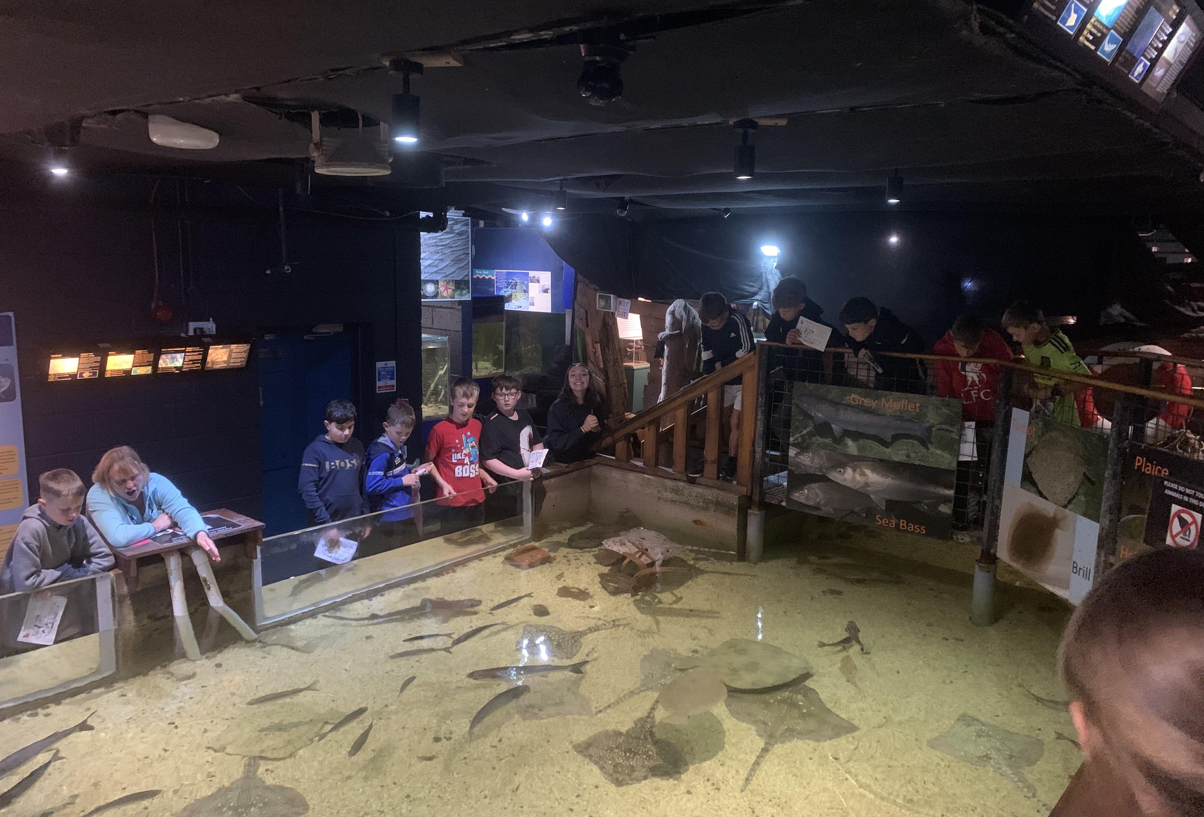 this-image-shows-children-from-shackles-off-enjoying-the-aquarium