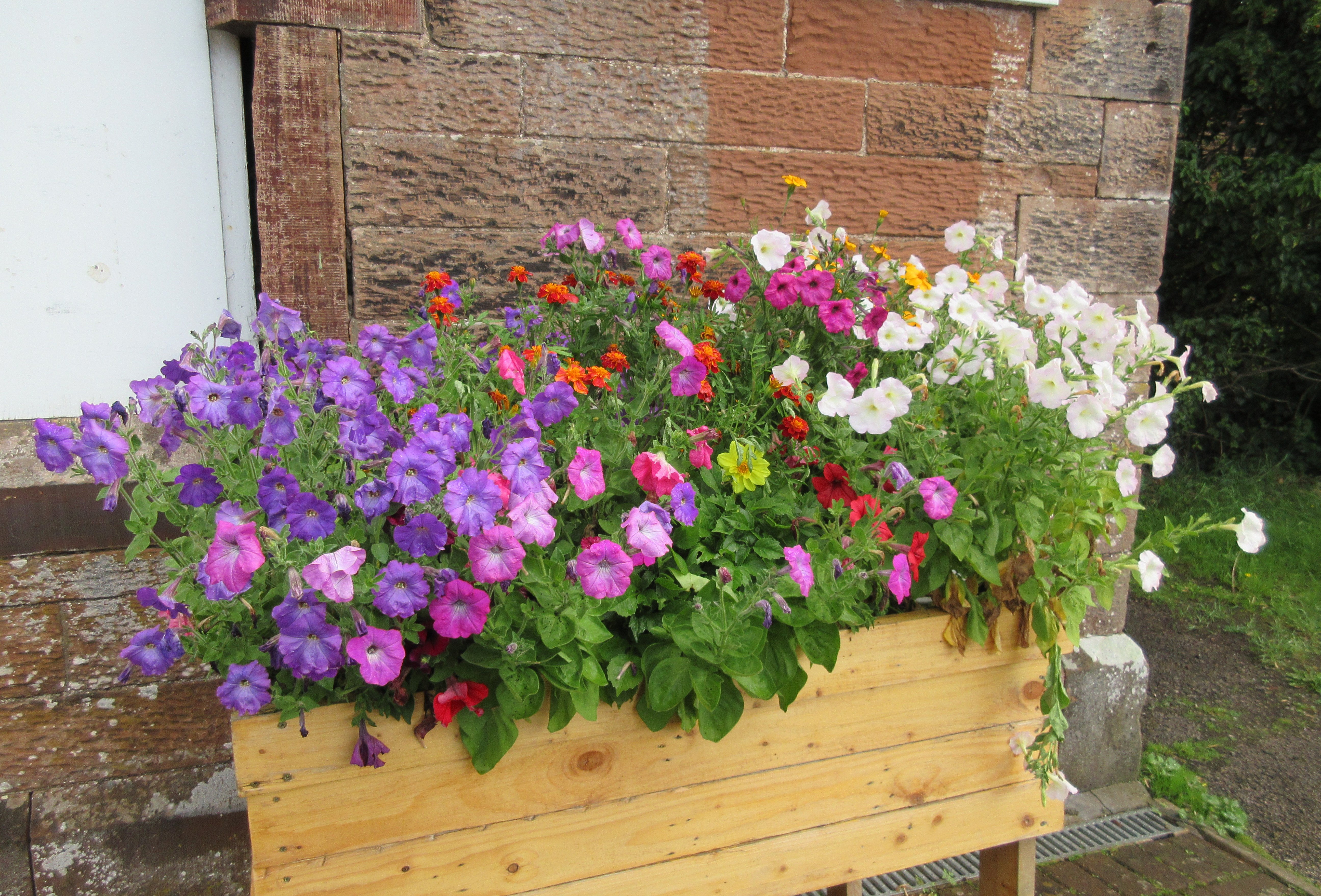 this-image-shows-new-floral-displays-at-dalston-station