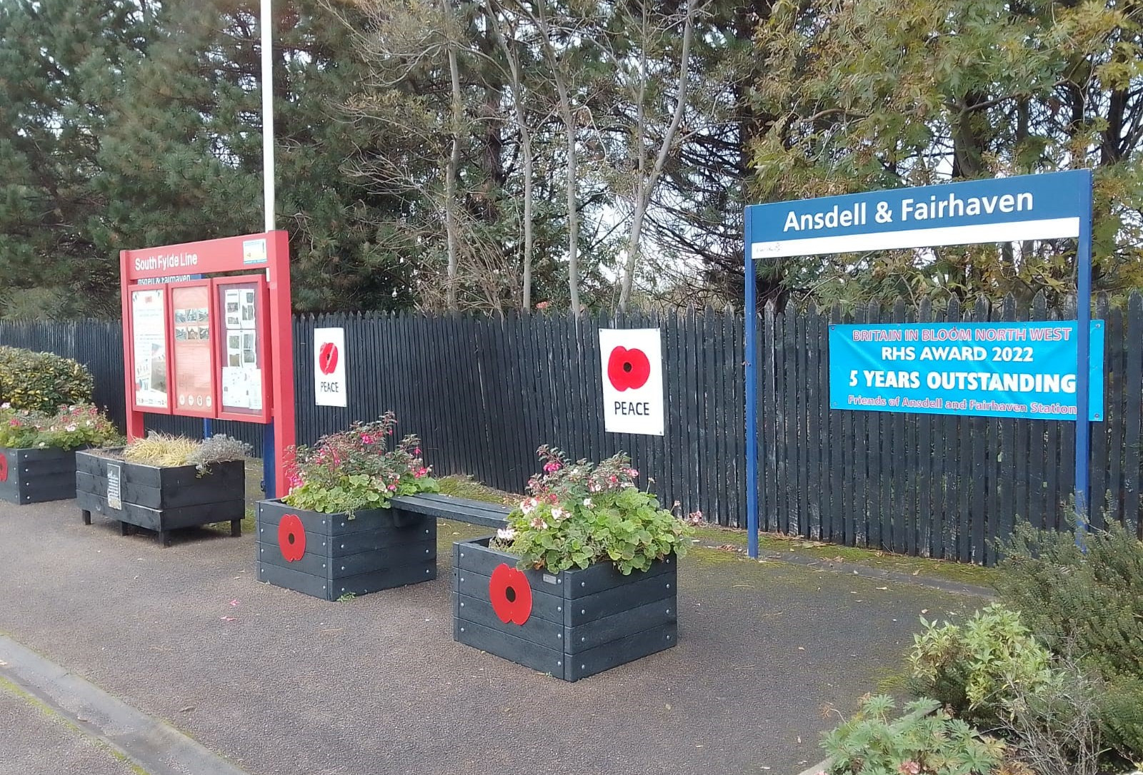 this-image-shows-poppies-on-display-at-ansdell-and-fairhaven