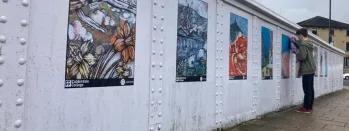 Halifax artwork-4 halifax-artwork-4-2